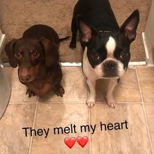 Meet your Posher, Griselda